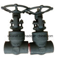 Forged Steel A105 Pressure Seal Thread End NPT Gate Valve